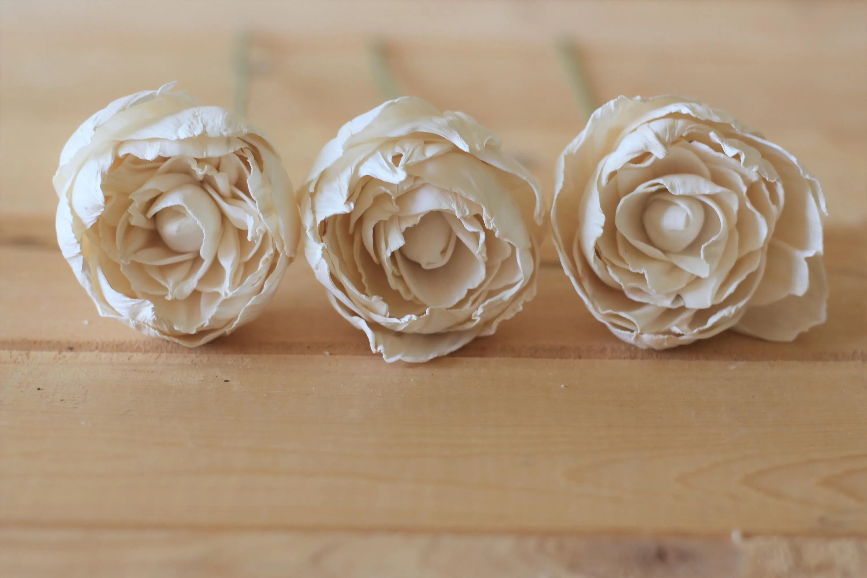 12 Stemmed Peony Wood Flowers