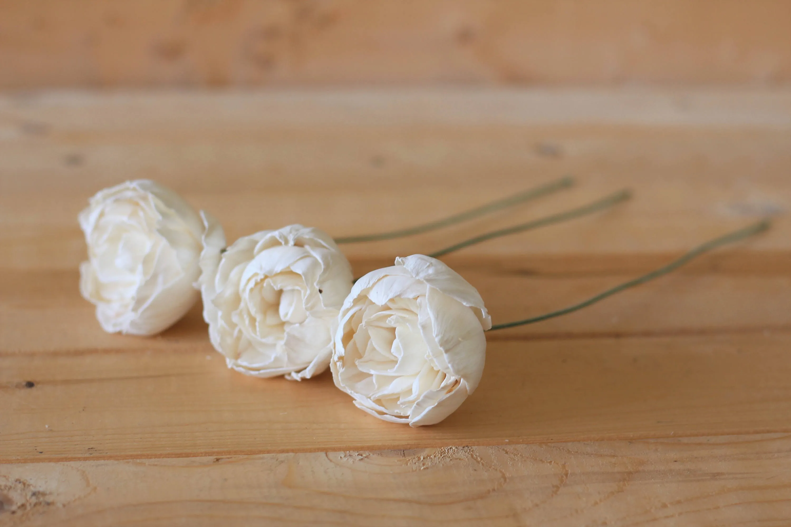 12 Stemmed Peony Wood Flowers