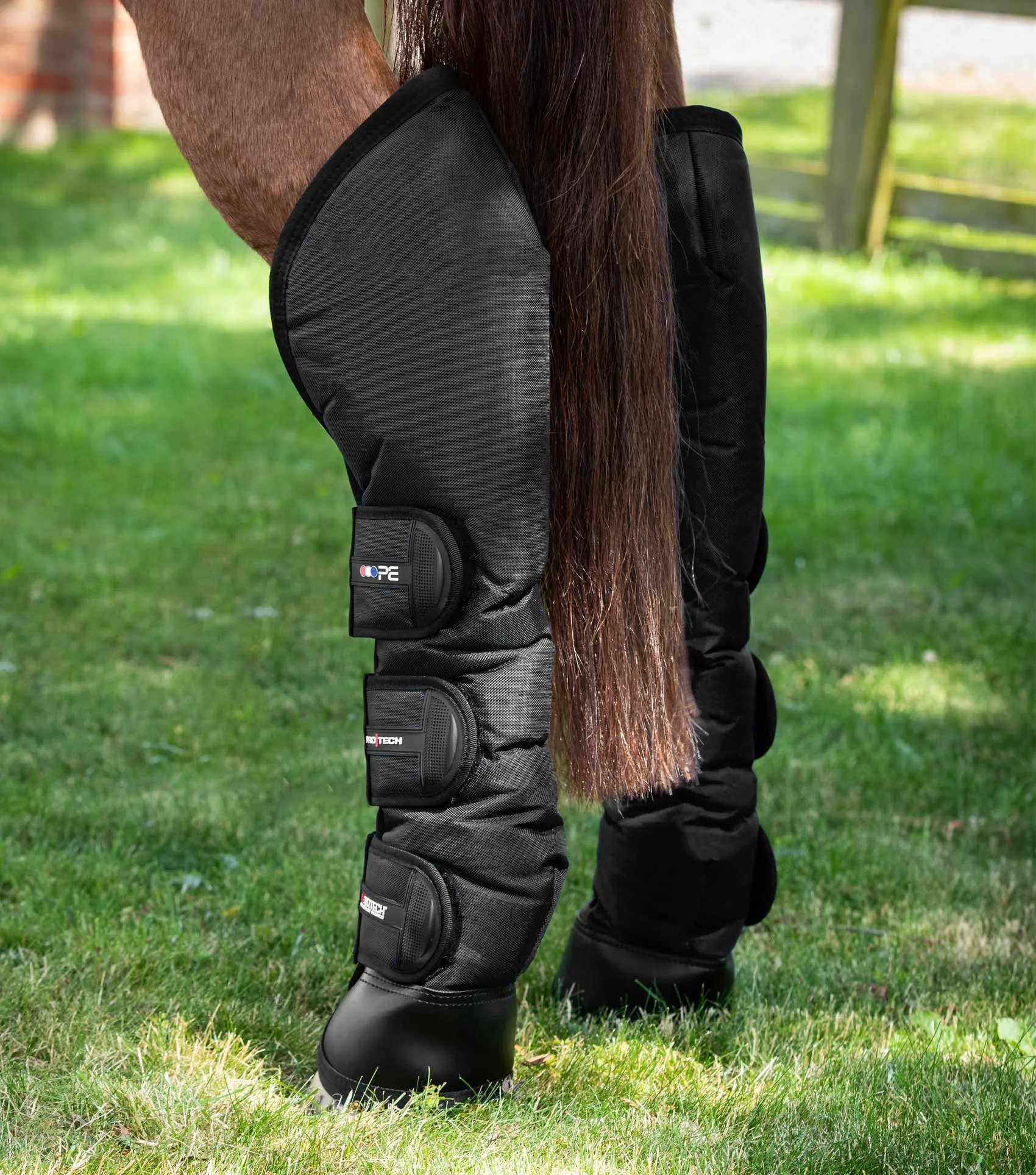 Ballistic Knee Pro-Tech Horse Travel Boots Black