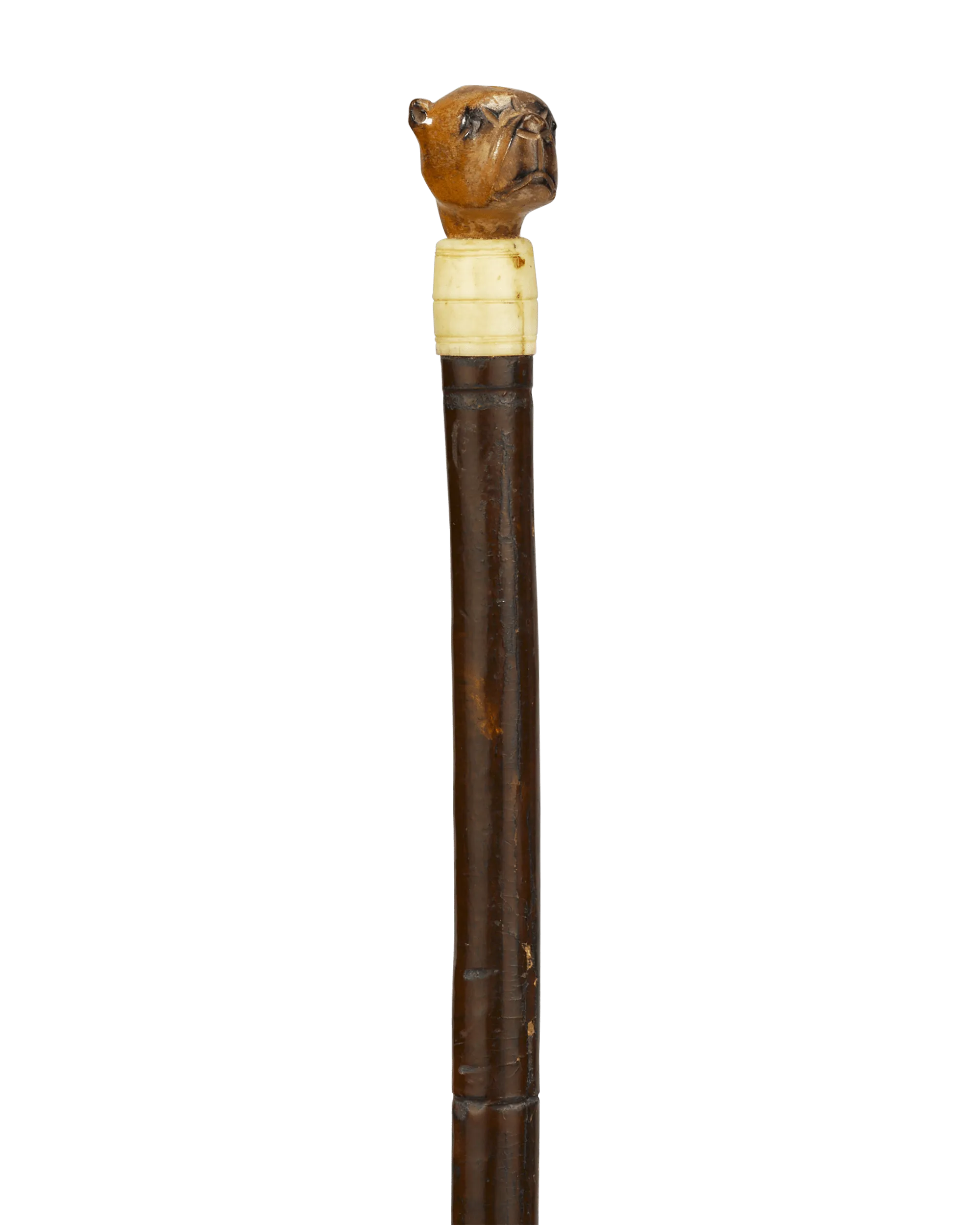 Boxer Dog Cane