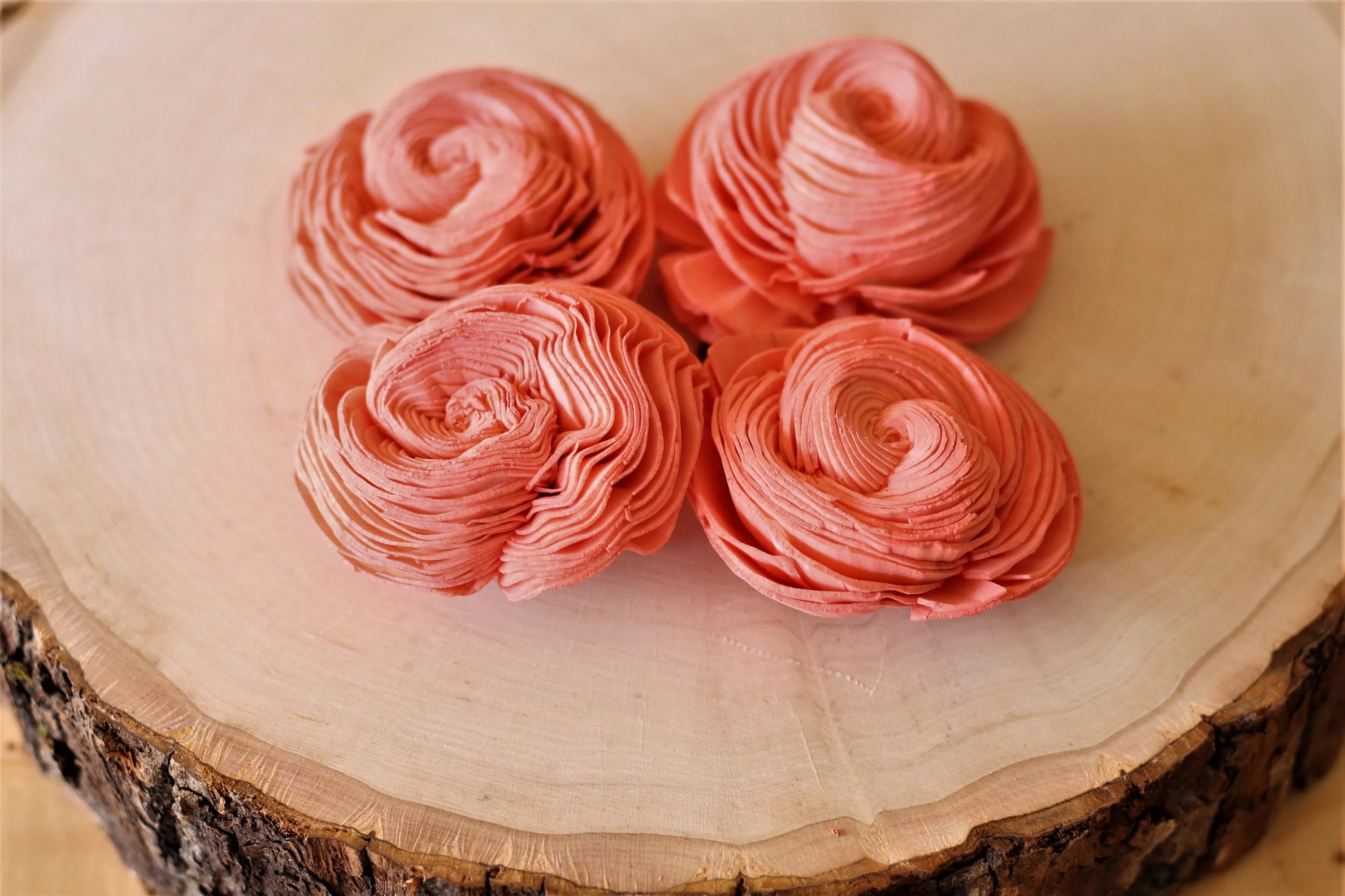 Coral Sola Wood Shell Flowers ( Set of 12 )