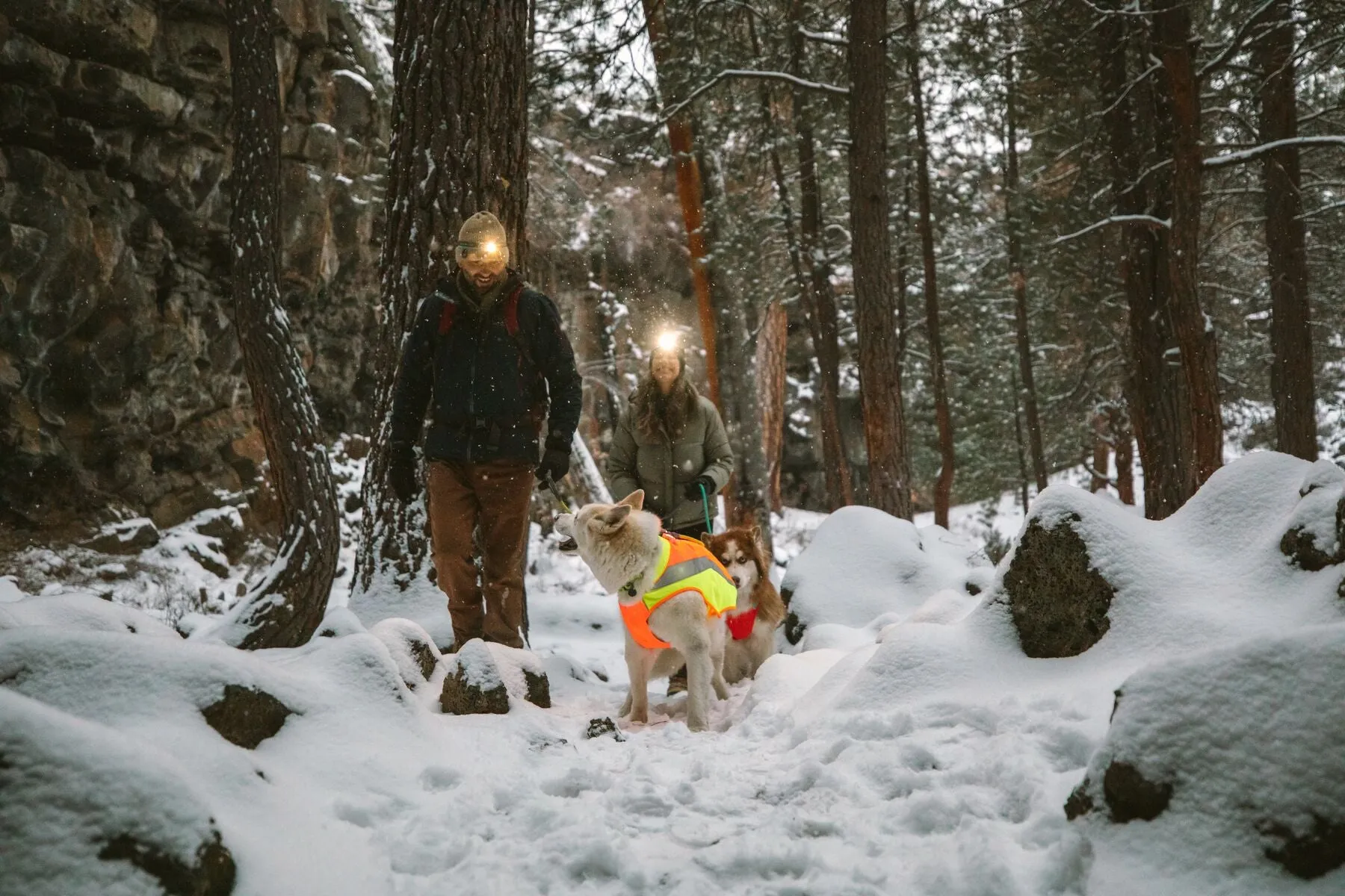 Lumenglow™ Hi-Vis Dog Jacket