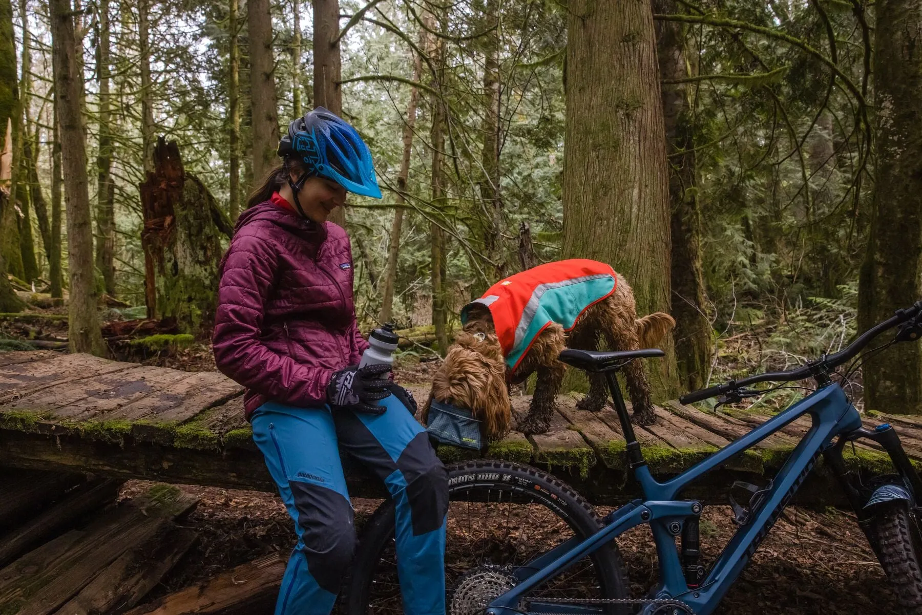 Lumenglow™ Hi-Vis Dog Jacket