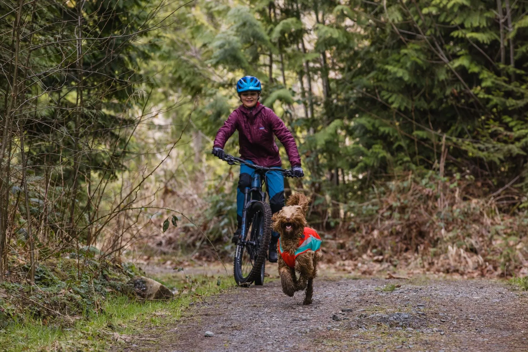 Lumenglow™ Hi-Vis Dog Jacket