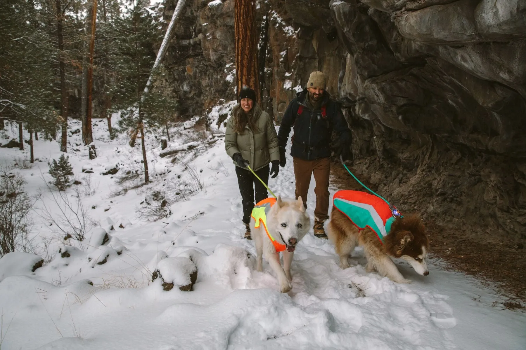 Lumenglow™ Hi-Vis Dog Jacket