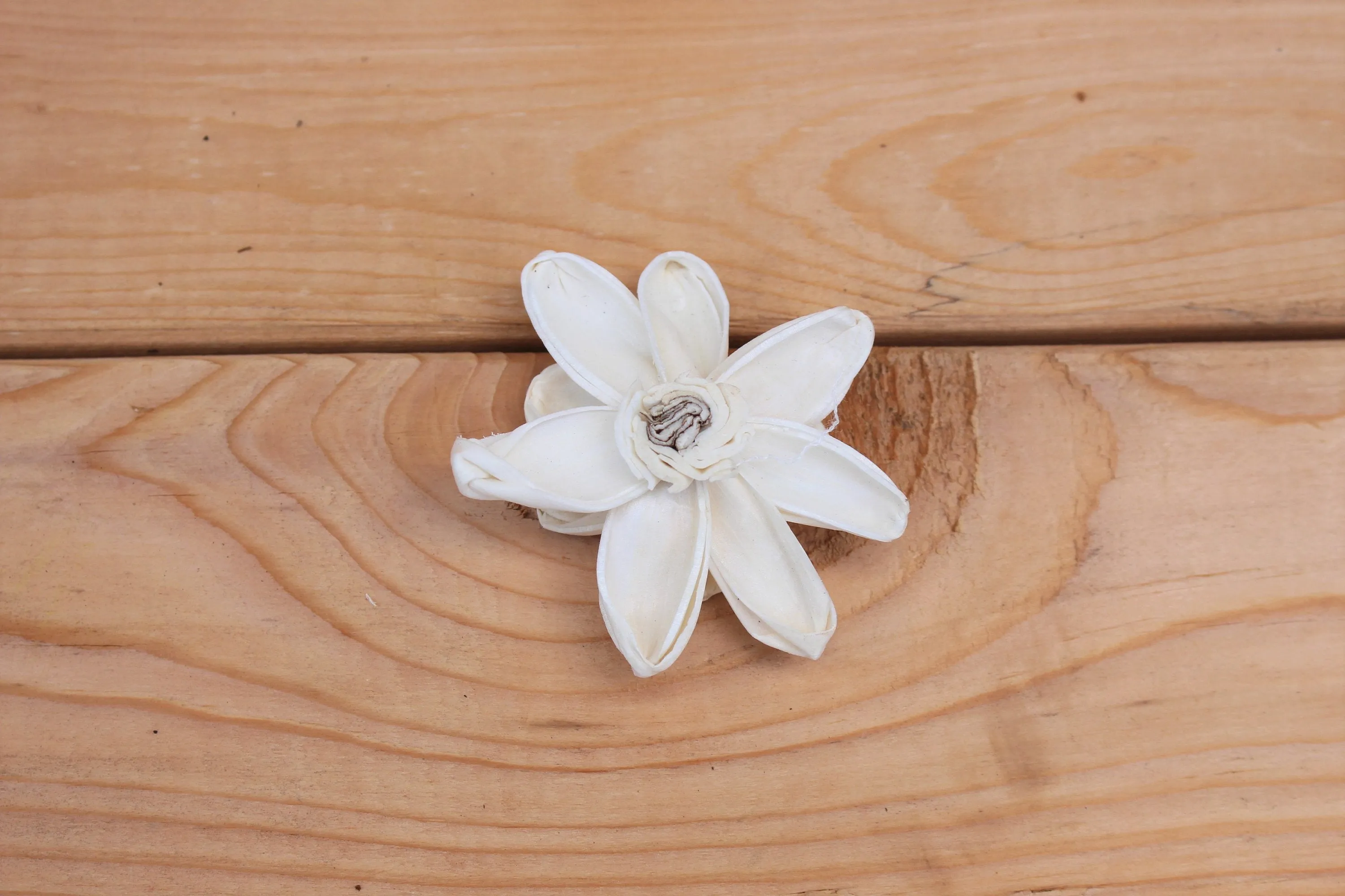 Sola Wood Starburst Flowers 2"