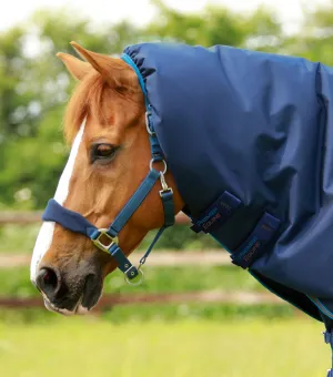 Titan 200g Turnout Rug Neck Cover (200g Fill)