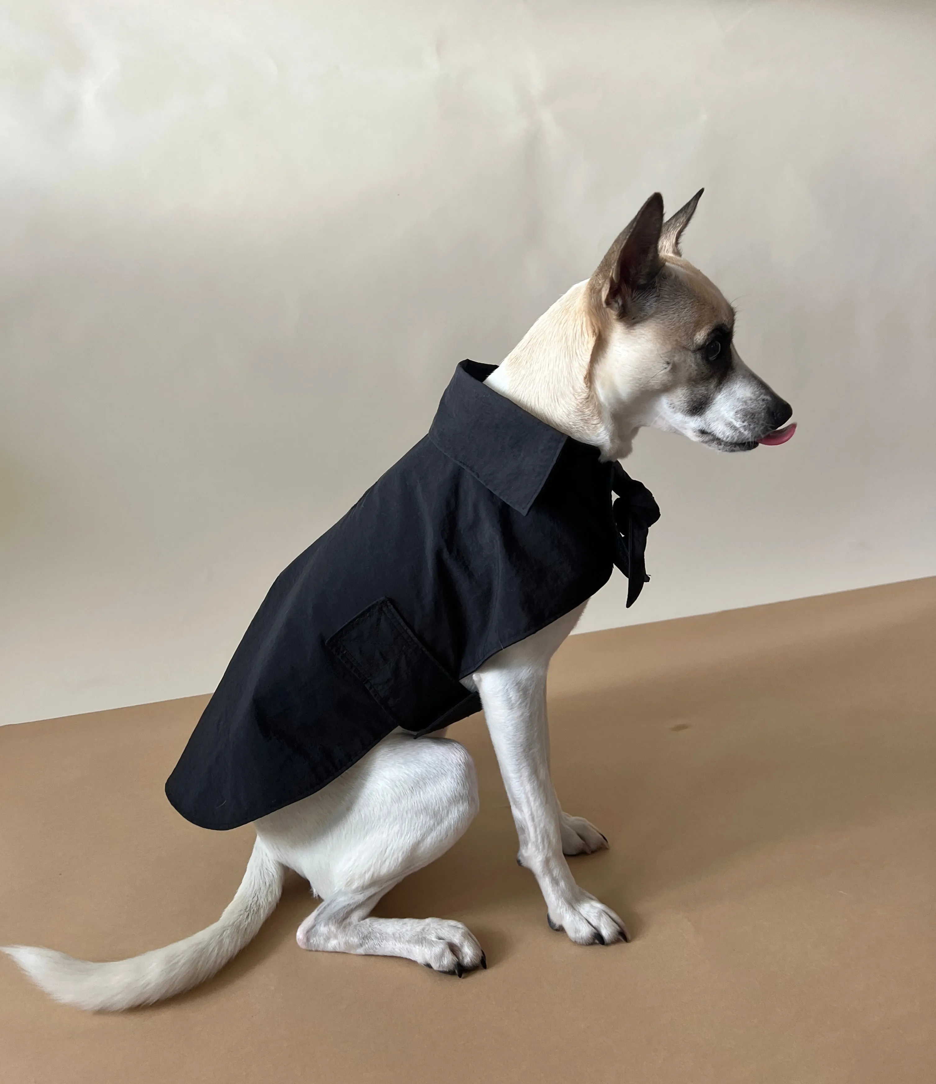 Toto Dog Jacket